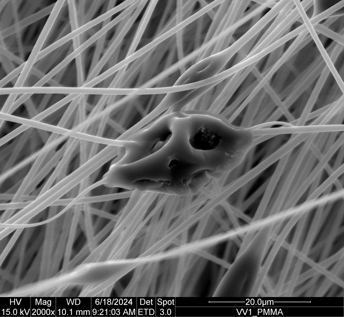 VV1_PMMA x 2000_20 µm_001